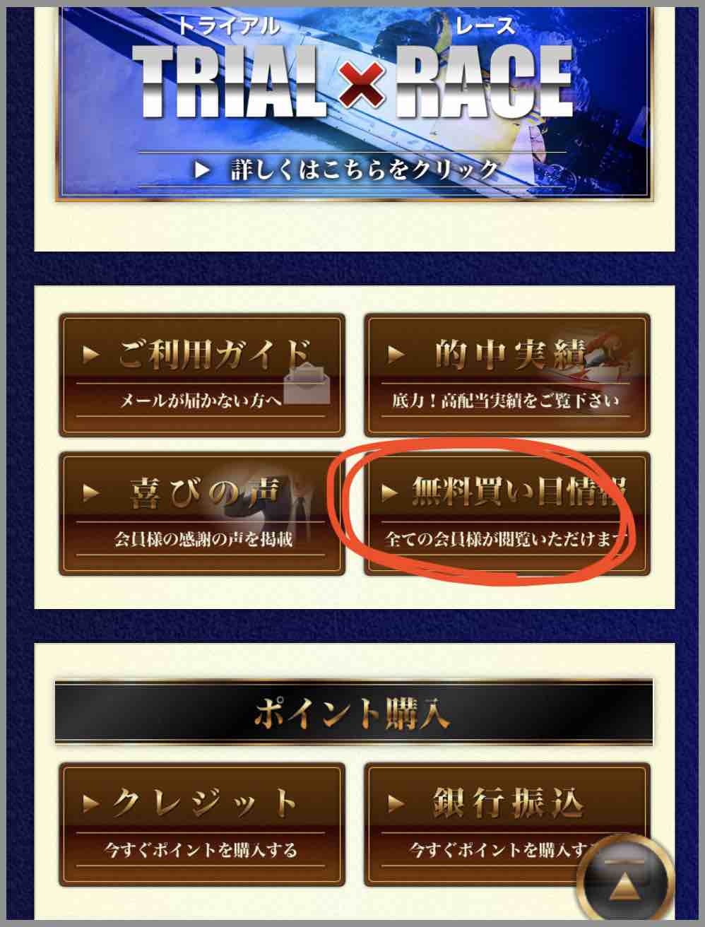 VMAX ブイマックスという競艇予想サイト(ボートレース予想サイト)の無料予想(無料情報)を確認する